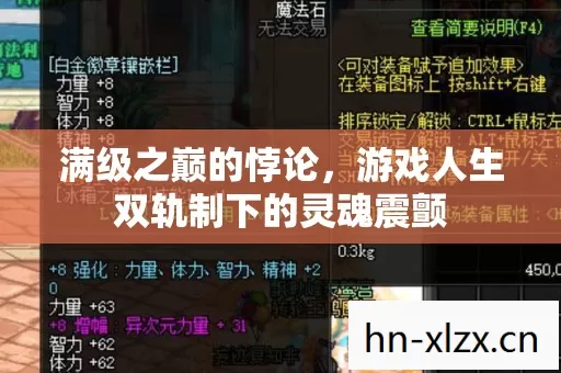 满级之巅的悖论，游戏人生双轨制下的灵魂震颤
