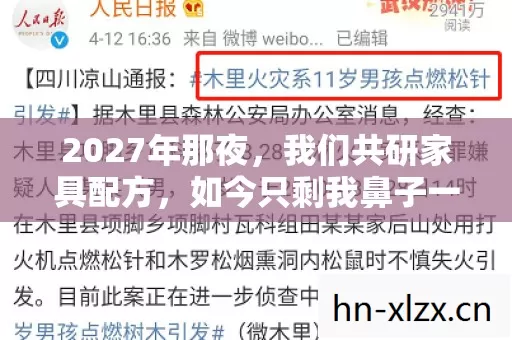 2027年那夜,我们共研家具配方,如今只剩我鼻子一酸 2027年那夜,我们共研家具配方,如今只剩我鼻子一酸