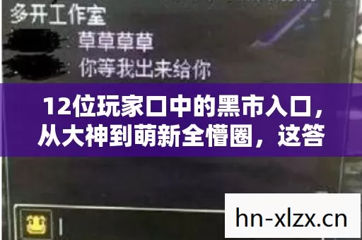 12位玩家口中的黑市入口,从大神到萌新全懵圈,这答案绷不住了! 12位玩家口中的黑市入口,从大神到萌新全懵圈,这答案绷不住了!