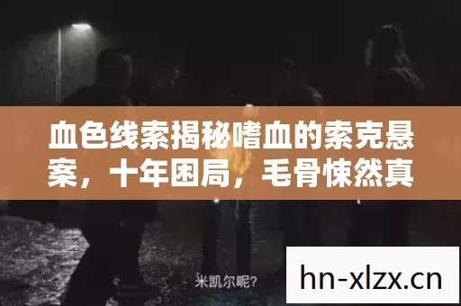 血色线索揭秘嗜血的索克悬案，十年困局，毛骨悚然真相待解