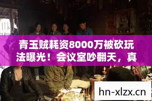 青玉贼耗资8000万被砍玩法曝光！会议室吵翻天，真相让人吓一跳