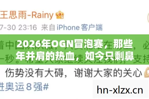 2026年OGN冒泡赛,那些年并肩的热血,如今只剩鼻子一酸的伏笔 2026年OGN冒泡赛,那些年并肩的热血,如今只剩鼻子一酸的伏笔