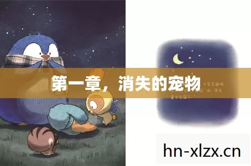 消失的宠物图片