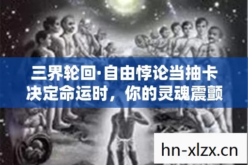自由悖论当抽卡决定命运时图片