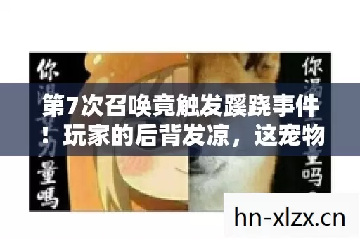 第7次召唤竟触发蹊跷事件!玩家的后背发凉,这宠物背后藏着什么? 第7次召唤竟触发蹊跷事件!玩家的后背发凉,这宠物背后藏着什么?
