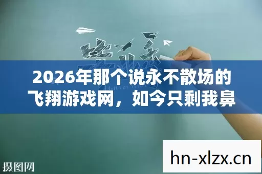 2026年那个说永不散场的飞翔游戏网，如今只剩我鼻子一酸
