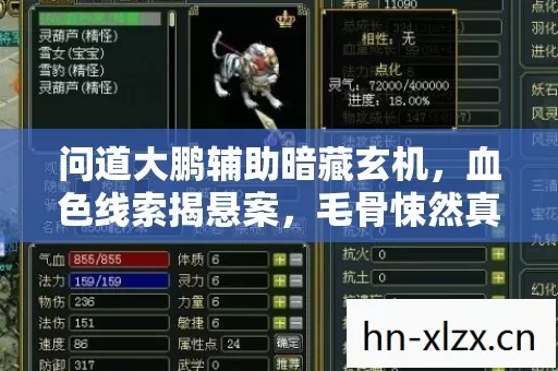 问道大鹏辅助暗藏玄机，血色线索揭悬案，毛骨悚然真相现