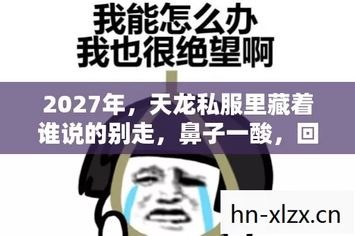 2027年，天龙私服里藏着谁说的别走，鼻子一酸，回忆难删