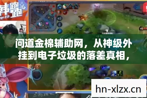 问道金棉辅助网，从神级外挂到电子垃圾的落差真相，笑着笑着就哭了