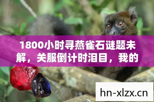 1800小时寻燕雀石谜题未解,关服倒计时泪目,我的青春被埋进熔山龙岩浆 1800小时寻燕雀石谜题未解,关服倒计时泪目,我的青春被埋进熔山龙岩浆