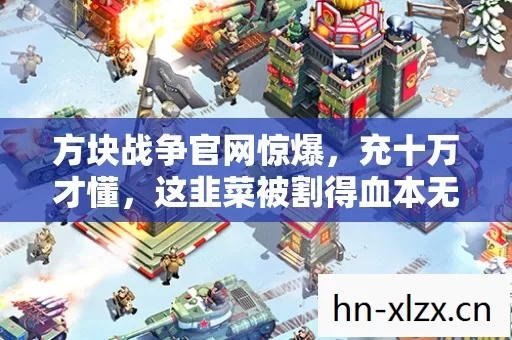 方块战争官网惊爆,充十万才懂,这韭菜被割得血本无归! 方块战争官网惊爆,充十万才懂,这韭菜被割得血本无归!