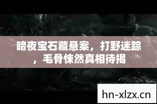 暗夜宝石藏悬案,打野迷踪,毛骨悚然真相待揭 暗夜宝石藏悬案,打野迷踪,毛骨悚然真相待揭
