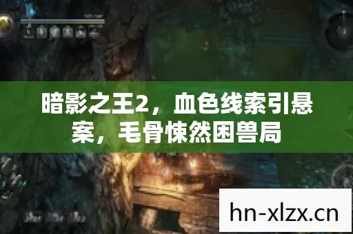 暗影之王2,血色线索引悬案,毛骨悚然困兽局 暗影之王2,血色线索引悬案,毛骨悚然困兽局