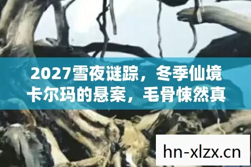 2027雪夜谜踪,冬季仙境卡尔玛的悬案,毛骨悚然真相待揭! 2027雪夜谜踪,冬季仙境卡尔玛的悬案,毛骨悚然真相待揭!