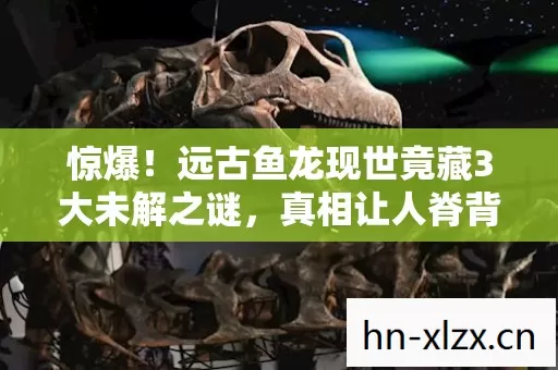 惊爆!远古鱼龙现世竟藏3大未解之谜,真相让人脊背发凉! 惊爆!远古鱼龙现世竟藏3大未解之谜,真相让人脊背发凉!