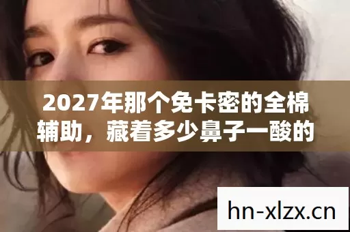 2027年那个免卡密的全棉辅助，藏着多少鼻子一酸的旧时光