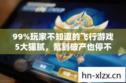 99%玩家不知道的飞行游戏5大猫腻,氪到破产也停不下来! 99%玩家不知道的飞行游戏5大猫腻,氪到破产也停不下来!