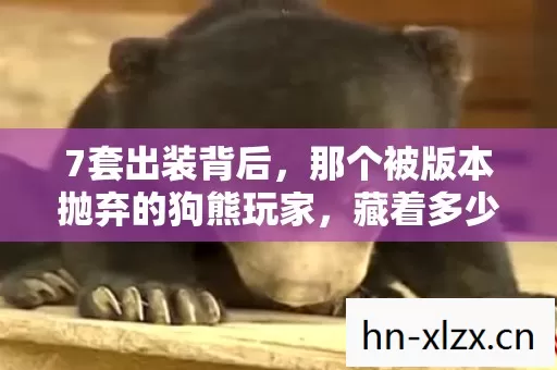 7套出装背后,那个被版本抛弃的狗熊玩家,藏着多少心酸? 7套出装背后,那个被版本抛弃的狗熊玩家,藏着多少心酸?