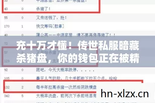 充十万才懂!传世私服暗藏杀猪盘,你的钱包正在被精准收割! 充十万才懂!传世私服暗藏杀猪盘,你的钱包正在被精准收割!