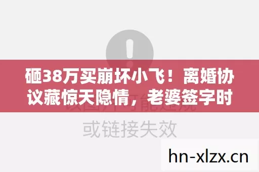 砸38万买崩坏小飞！离婚协议藏惊天隐情，老婆签字时我腿软了
