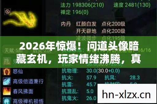 问道头像暗藏玄机图片