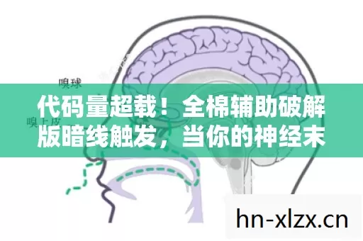 代码量超载!全棉辅助破解版暗线触发,当你的神经末梢开始头皮发麻 代码量超载!全棉辅助破解版暗线触发,当你的神经末梢开始头皮发麻