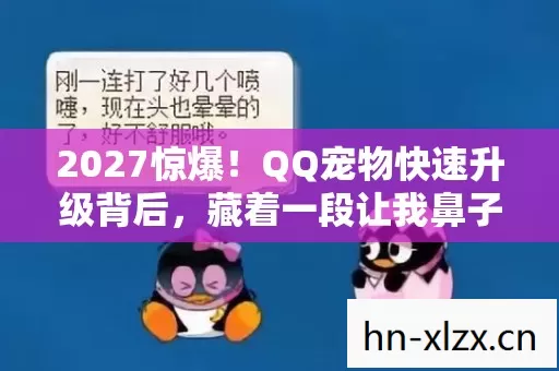 2027惊爆！QQ宠物快速升级背后，藏着一段让我鼻子一酸的情缘