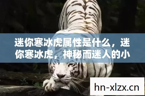 迷你寒冰虎属性是什么,迷你寒冰虎,神秘而迷人的小型猫科动物 迷你寒冰虎属性是什么,迷你寒冰虎,神秘而迷人的小型猫科动物