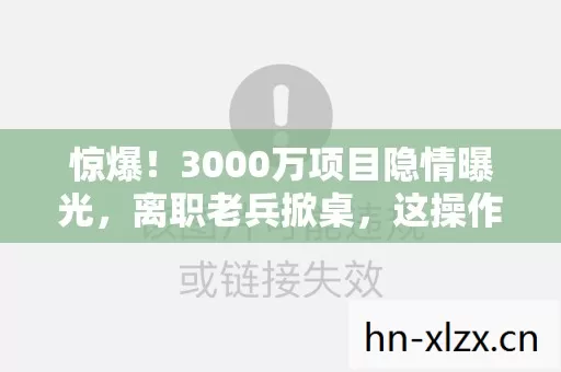 惊爆!3000万项目隐情曝光,离职老兵掀桌,这操作真让人吓一跳! 惊爆!3000万项目隐情曝光,离职老兵掀桌,这操作真让人吓一跳!