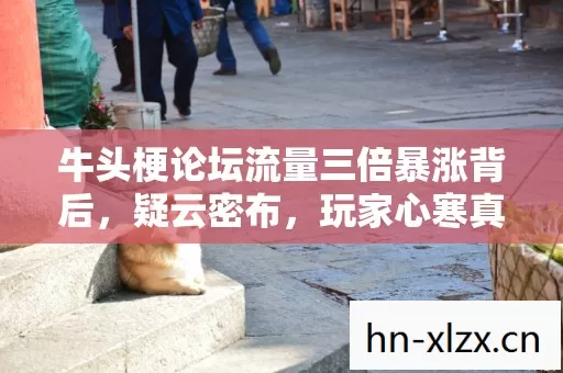牛头梗论坛流量三倍暴涨背后,疑云密布,玩家心寒真相几何? 牛头梗论坛流量三倍暴涨背后,疑云密布,玩家心寒真相几何?