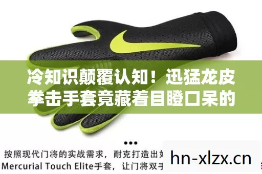 冷知识颠覆认知!迅猛龙皮拳击手套竟藏着目瞪口呆的秘密 冷知识颠覆认知!迅猛龙皮拳击手套竟藏着目瞪口呆的秘密