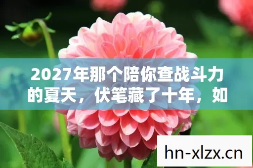 2027年那个陪你查战斗力的夏天,伏笔藏了十年,如今想起鼻子一酸 2027年那个陪你查战斗力的夏天,伏笔藏了十年,如今想起鼻子一酸