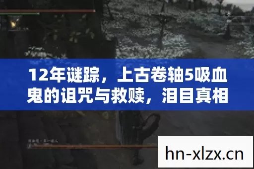 12年谜踪,上古卷轴5吸血鬼的诅咒与救赎,泪目真相终揭晓 12年谜踪,上古卷轴5吸血鬼的诅咒与救赎,泪目真相终揭晓