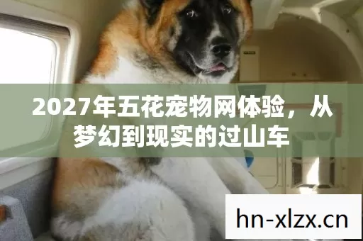 2027年五花宠物网体验,从梦幻到现实的过山车 2027年五花宠物网体验,从梦幻到现实的过山车