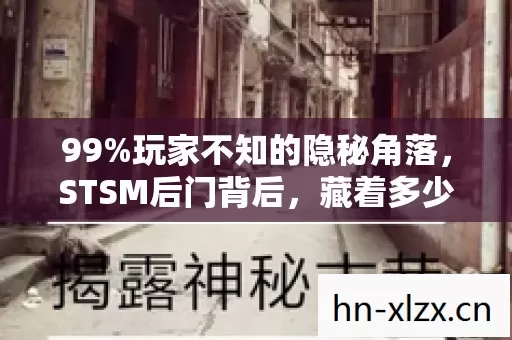 99%玩家不知的隐秘角落，STSM后门背后，藏着多少人的血泪与狂欢？