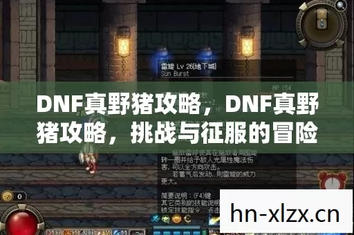 DNF真野猪攻略,DNF真野猪攻略,挑战与征服的冒险之旅 DNF真野猪攻略,DNF真野猪攻略,挑战与征服的冒险之旅