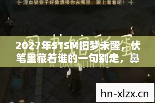 2027年STSM旧梦未醒图片