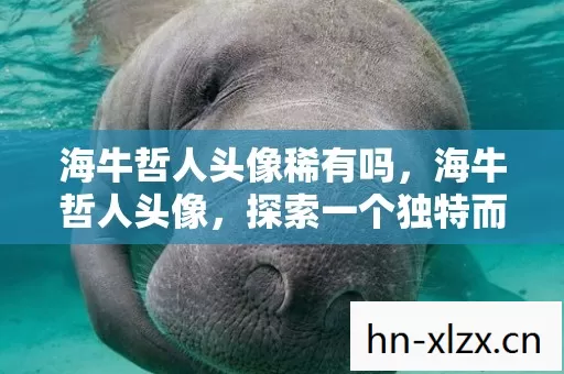 海牛哲人头像稀有吗，海牛哲人头像，探索一个独特而富有深意的形象