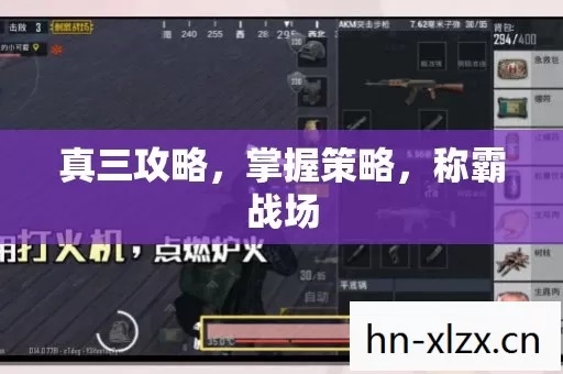 真三攻略,掌握策略,称霸战场 真三攻略,掌握策略,称霸战场