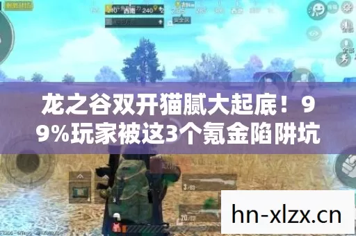 龙之谷双开猫腻大起底！99%玩家被这3个氪金陷阱坑到头秃