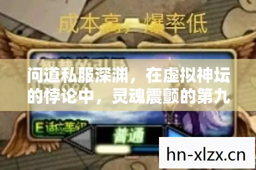问道私服深渊，在虚拟神坛的悖论中，灵魂震颤的第九重审判