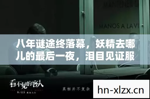 八年谜途终落幕，妖精去哪儿的最后一夜，泪目见证服务器熄灯