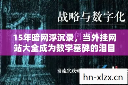 15年暗网浮沉录，当外挂网站大全成为数字墓碑的泪目倒计时