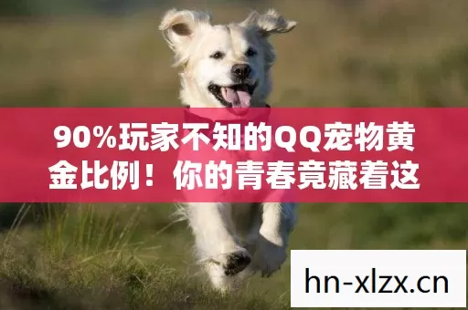 90%玩家不知的QQ宠物黄金比例!你的青春竟藏着这般扎心真相? 90%玩家不知的QQ宠物黄金比例!你的青春竟藏着这般扎心真相?