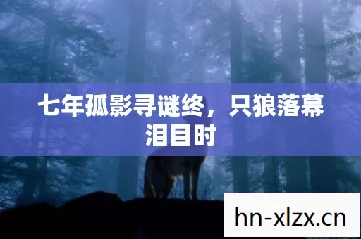 七年孤影寻谜终,只狼落幕泪目时 七年孤影寻谜终,只狼落幕泪目时