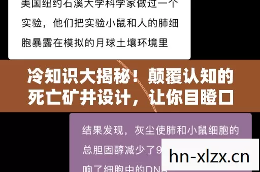 冷知识大揭秘!颠覆认知的死亡矿井设计,让你目瞪口呆! 冷知识大揭秘!颠覆认知的死亡矿井设计,让你目瞪口呆!