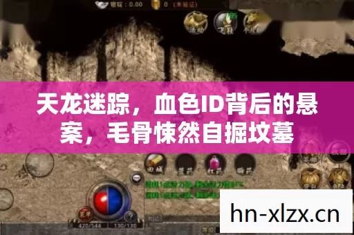 天龙迷踪,血色ID背后的悬案,毛骨悚然自掘坟墓 天龙迷踪,血色ID背后的悬案,毛骨悚然自掘坟墓