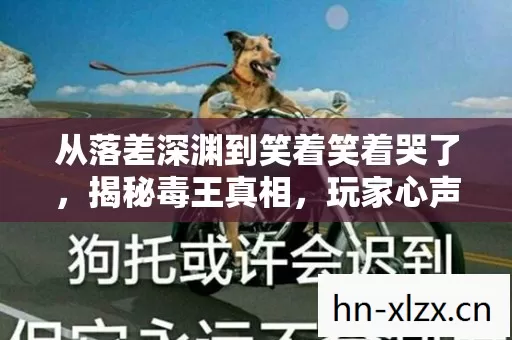 从落差深渊到笑着笑着哭了，揭秘毒王真相，玩家心声谁懂？