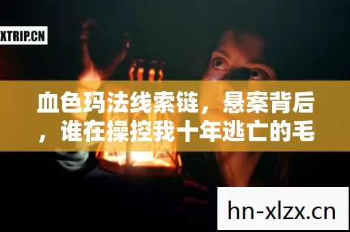 血色玛法线索链,悬案背后,谁在操控我十年逃亡的毛骨悚然真相? 血色玛法线索链,悬案背后,谁在操控我十年逃亡的毛骨悚然真相?