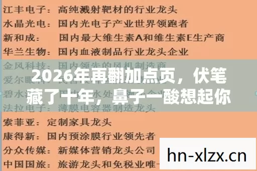 2026年再翻加点页，伏笔藏了十年，鼻子一酸想起你